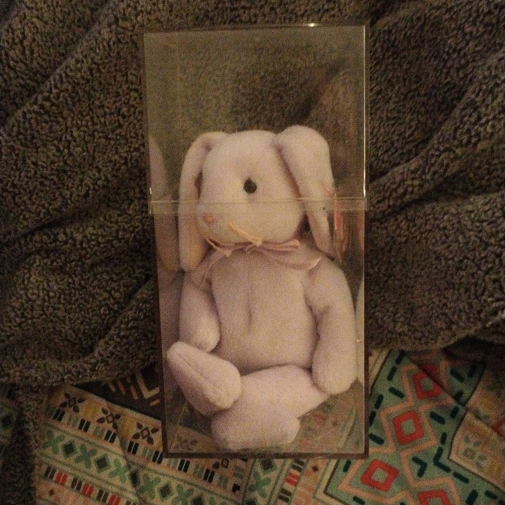 Bunny rabbit